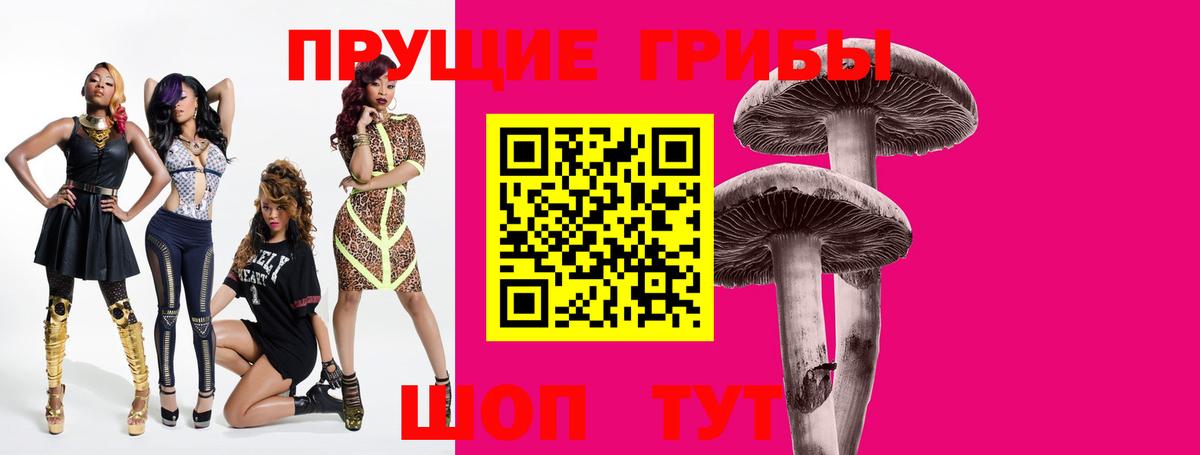 Псилоцибиновые грибы Psilocybine cubensis  Вход с VPN  Северск 